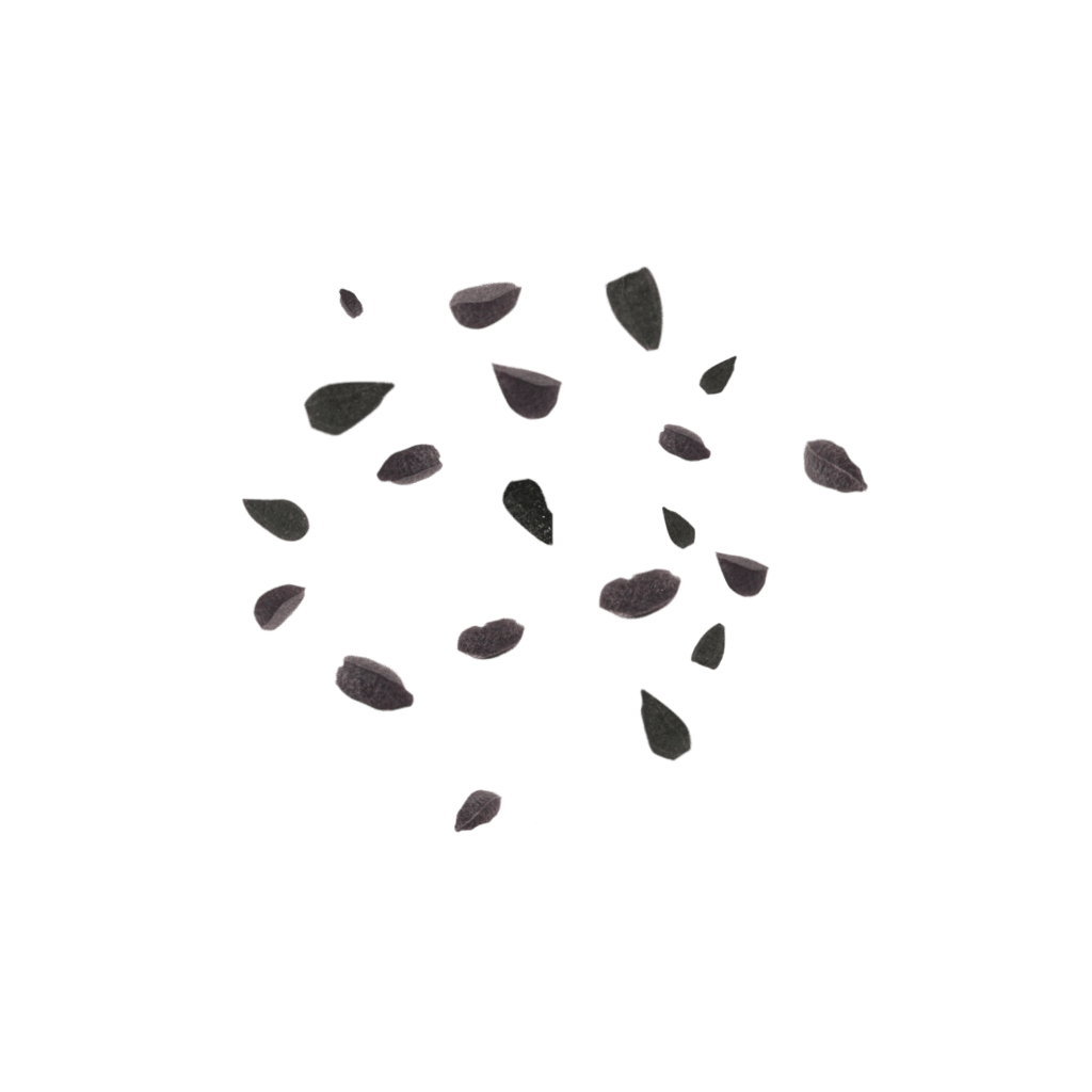 fliegende Schwarzkümmelsamen