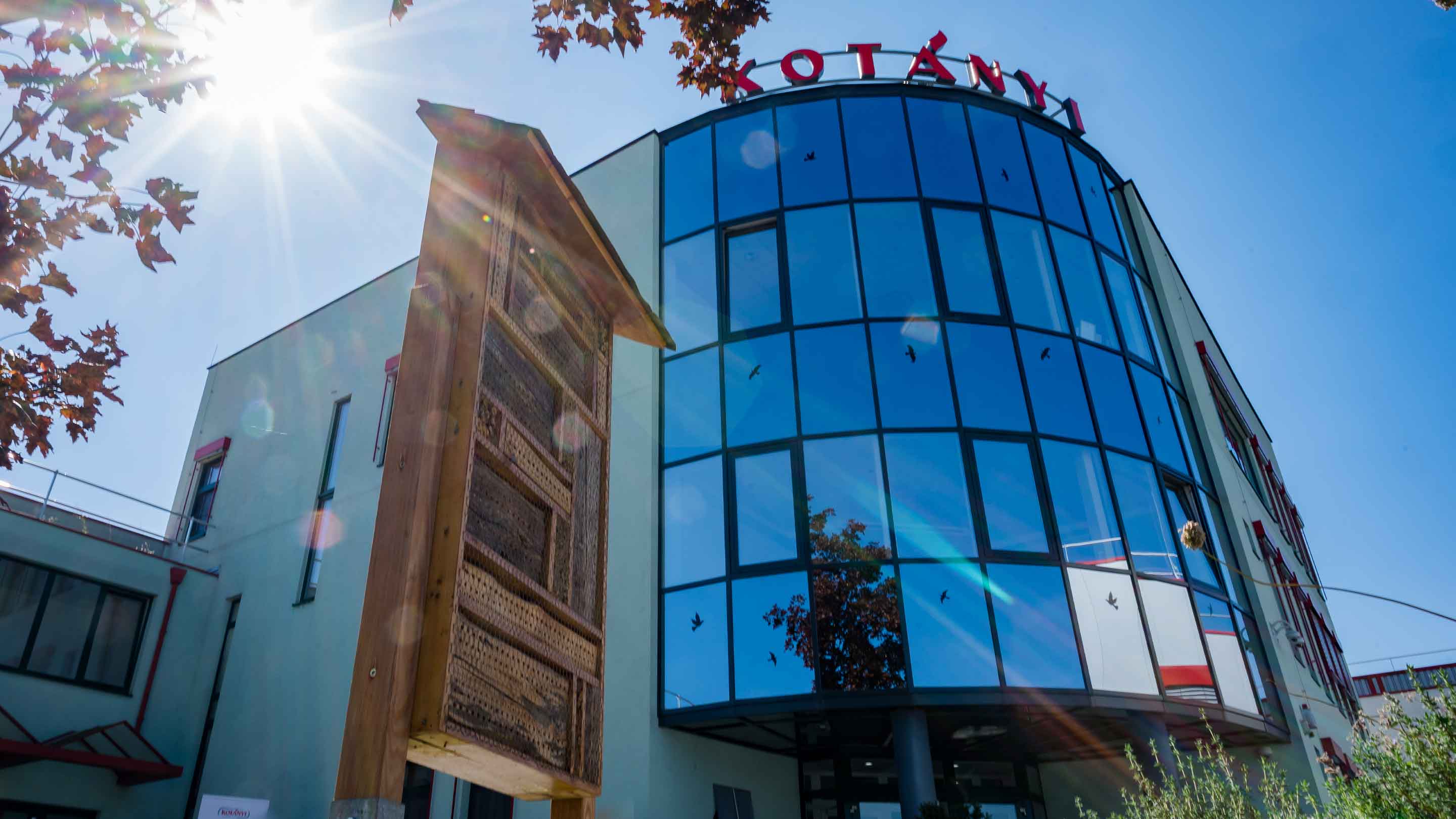 Kotányi