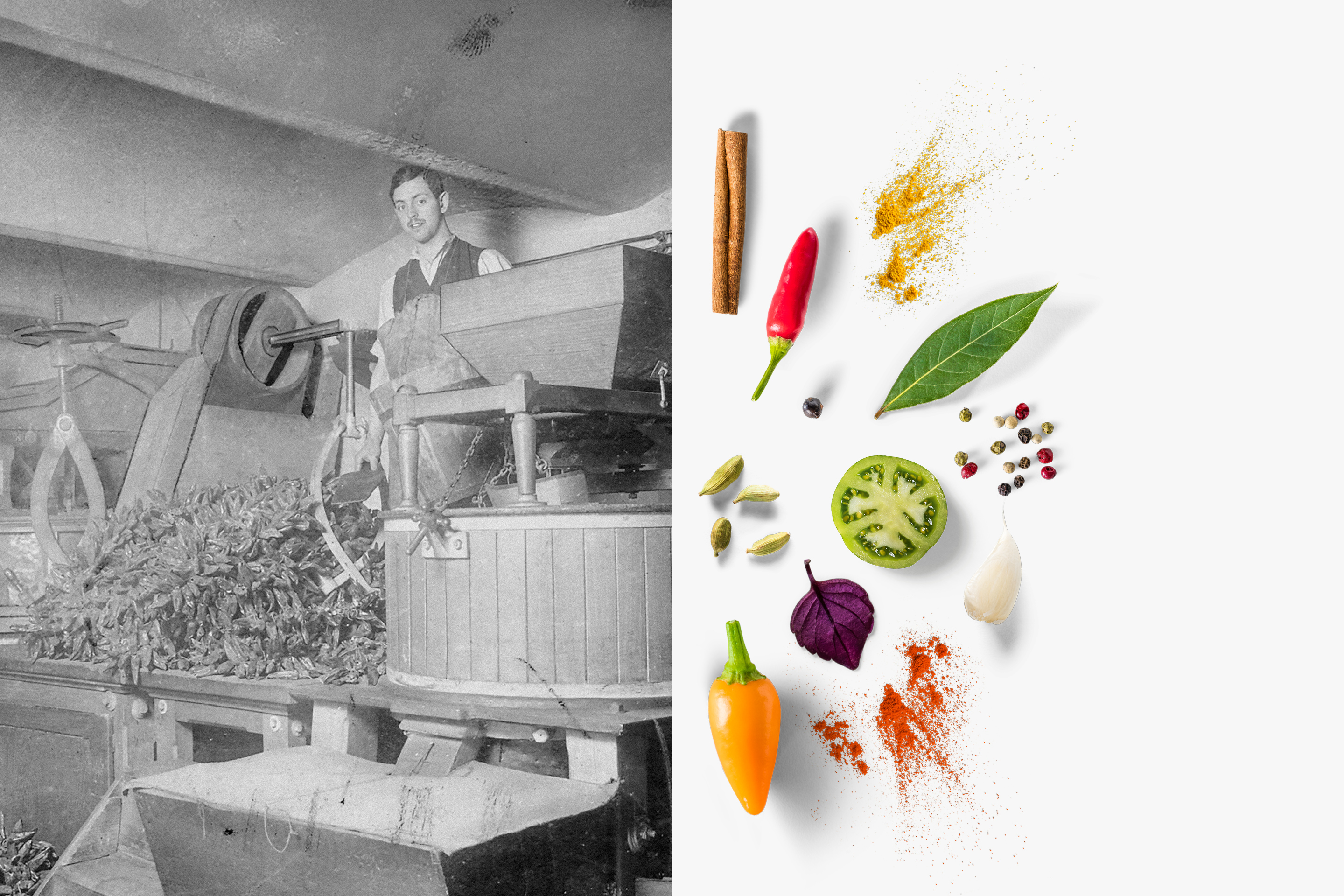 Kotanyi145 Gewinnspielbanner2 Neu