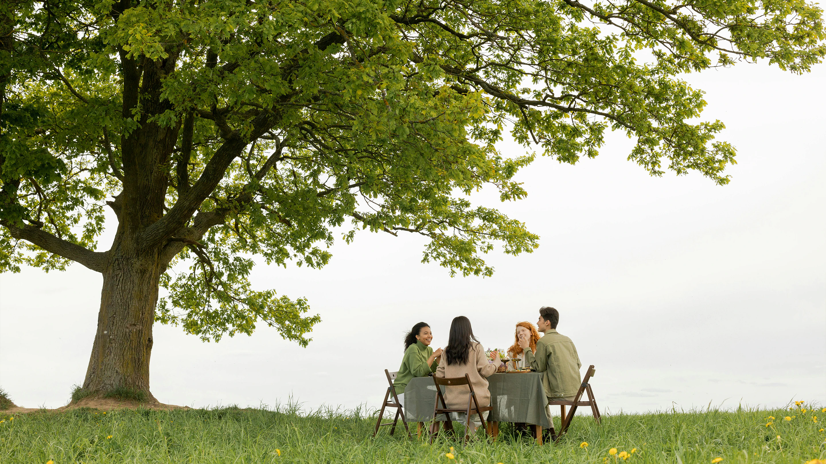 Summer Picnic Tips And Tricks Kotanyi Blog Title